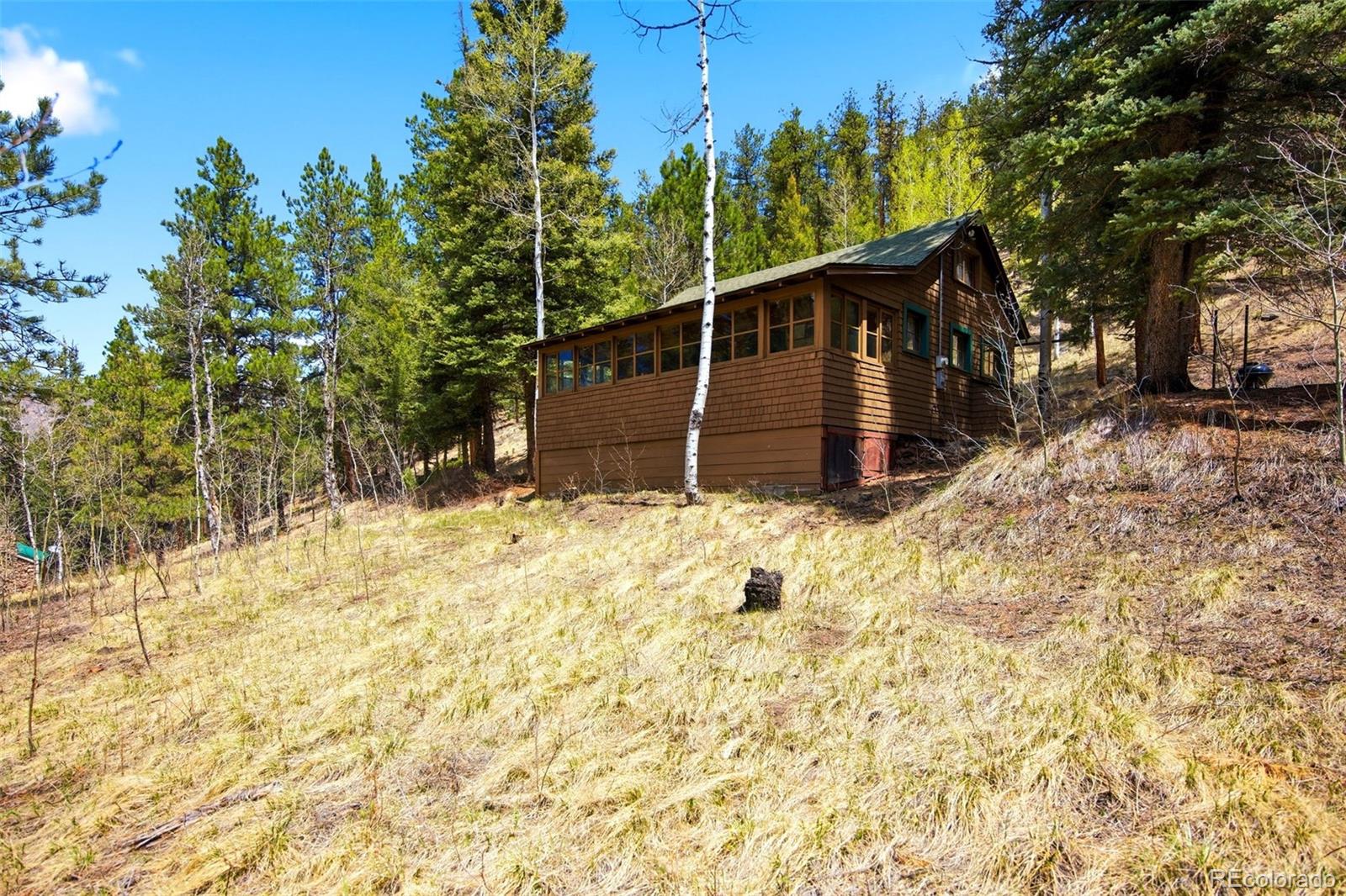 MLS Image #29 for 652  payne gulch road,bailey, Colorado