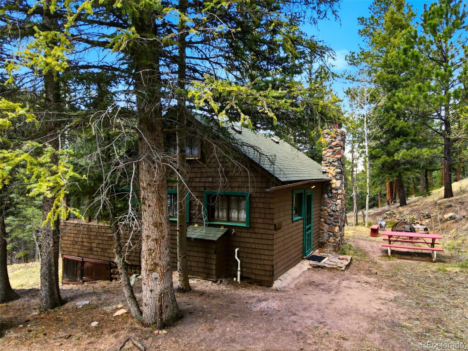 MLS Image #3 for 652  payne gulch road,bailey, Colorado