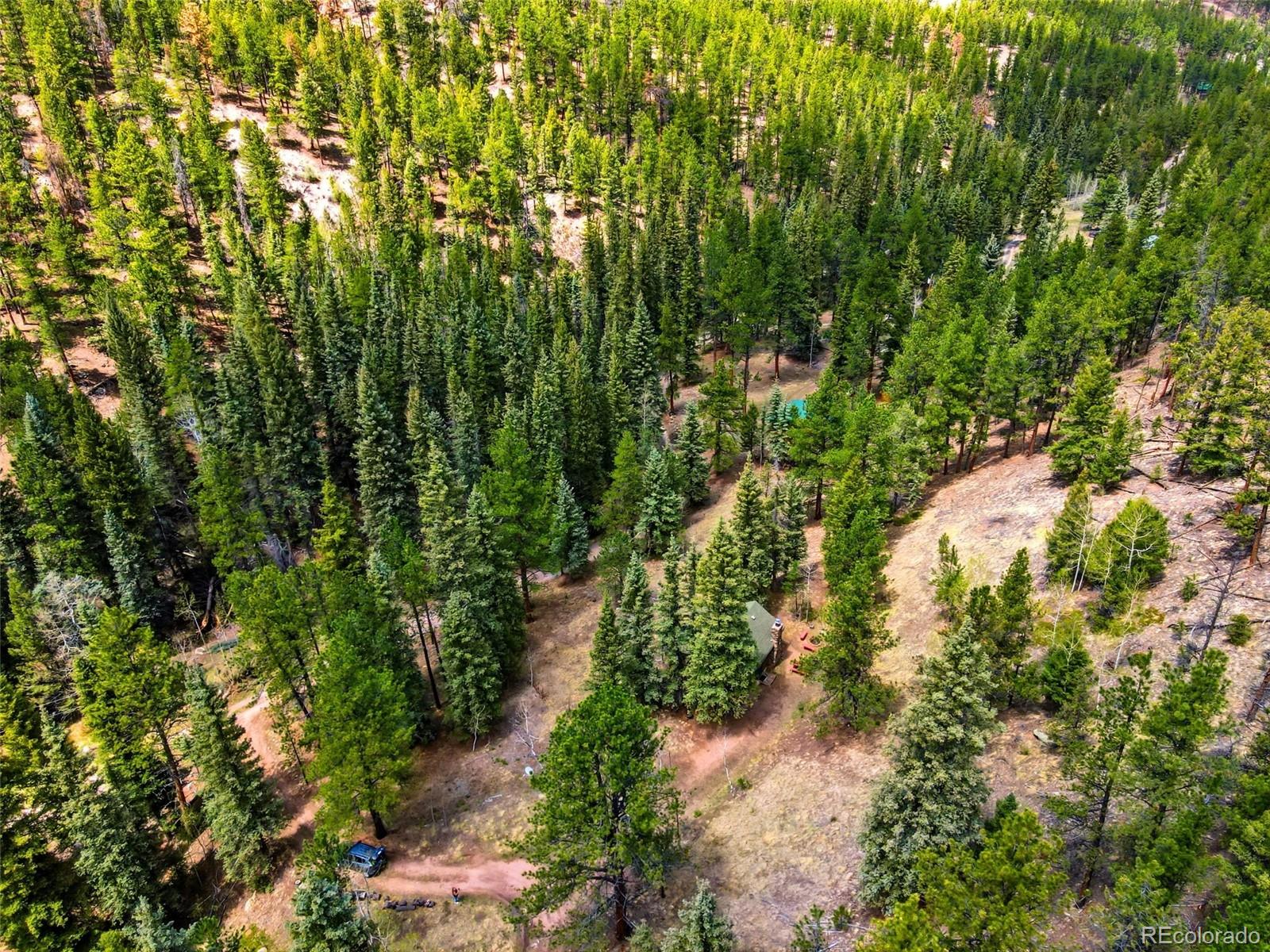 MLS Image #31 for 652  payne gulch road,bailey, Colorado