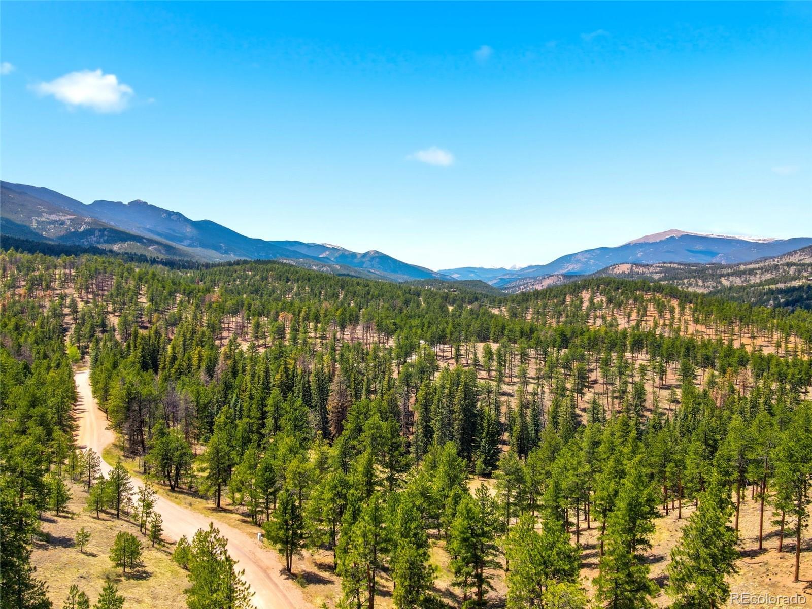 MLS Image #32 for 652  payne gulch road,bailey, Colorado