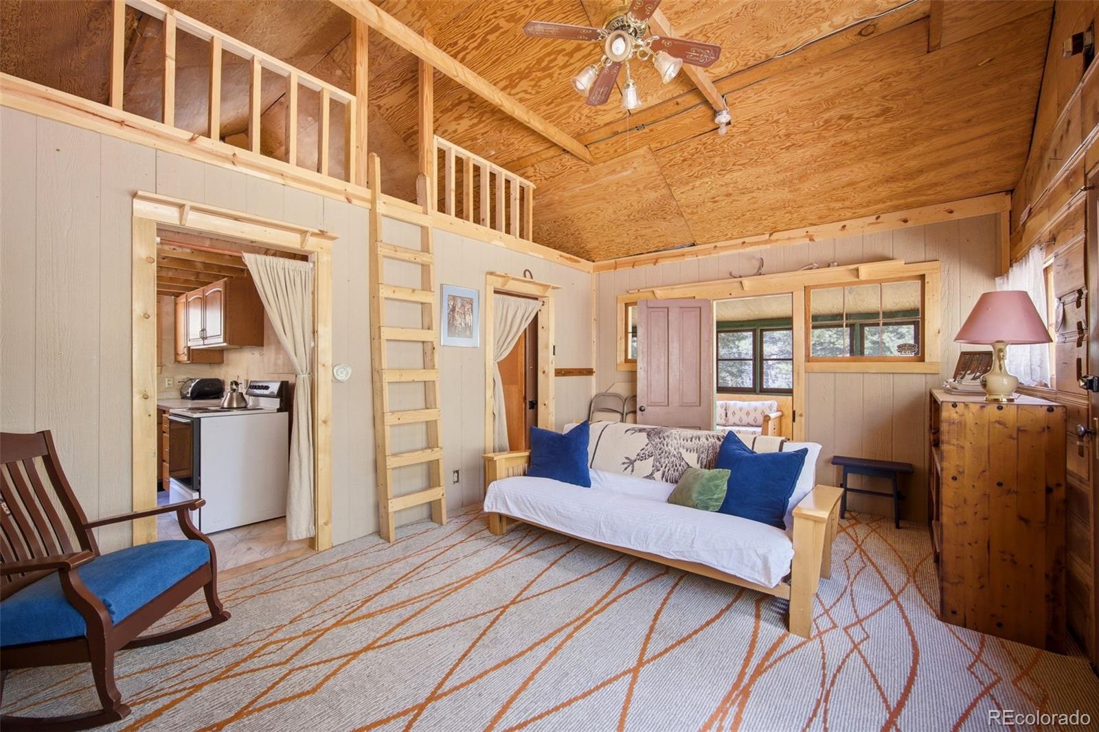 MLS Image #4 for 652  payne gulch road,bailey, Colorado