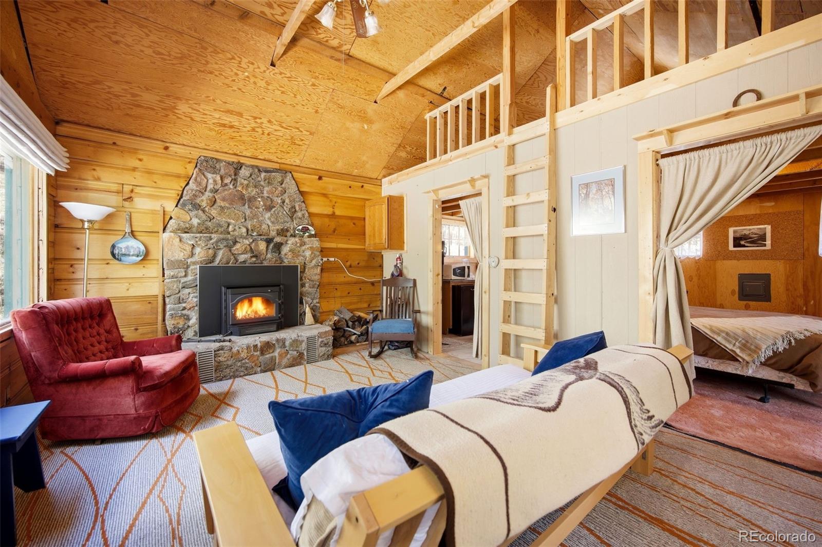 MLS Image #6 for 652  payne gulch road,bailey, Colorado