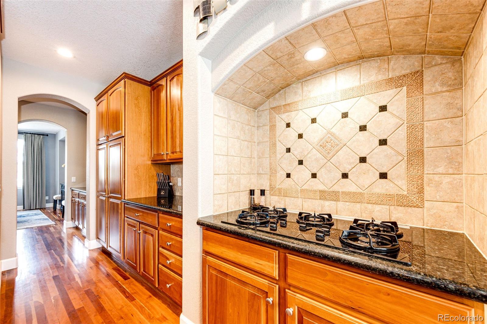 MLS Image #14 for 9624  shenstone drive,parker, Colorado