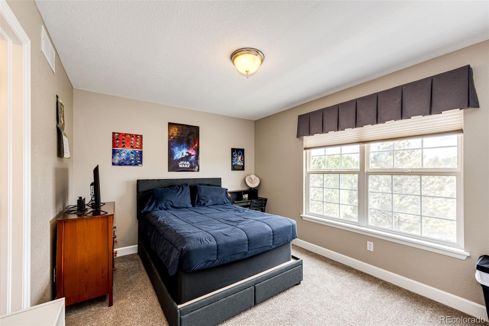 MLS Image #25 for 9624  shenstone drive,parker, Colorado