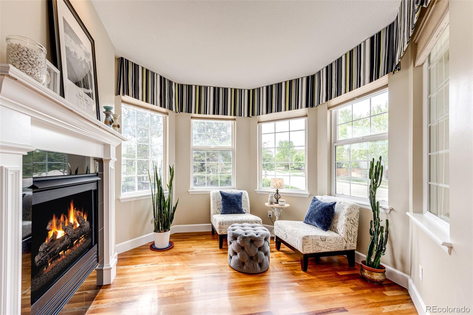 MLS Image #6 for 9624  shenstone drive,parker, Colorado
