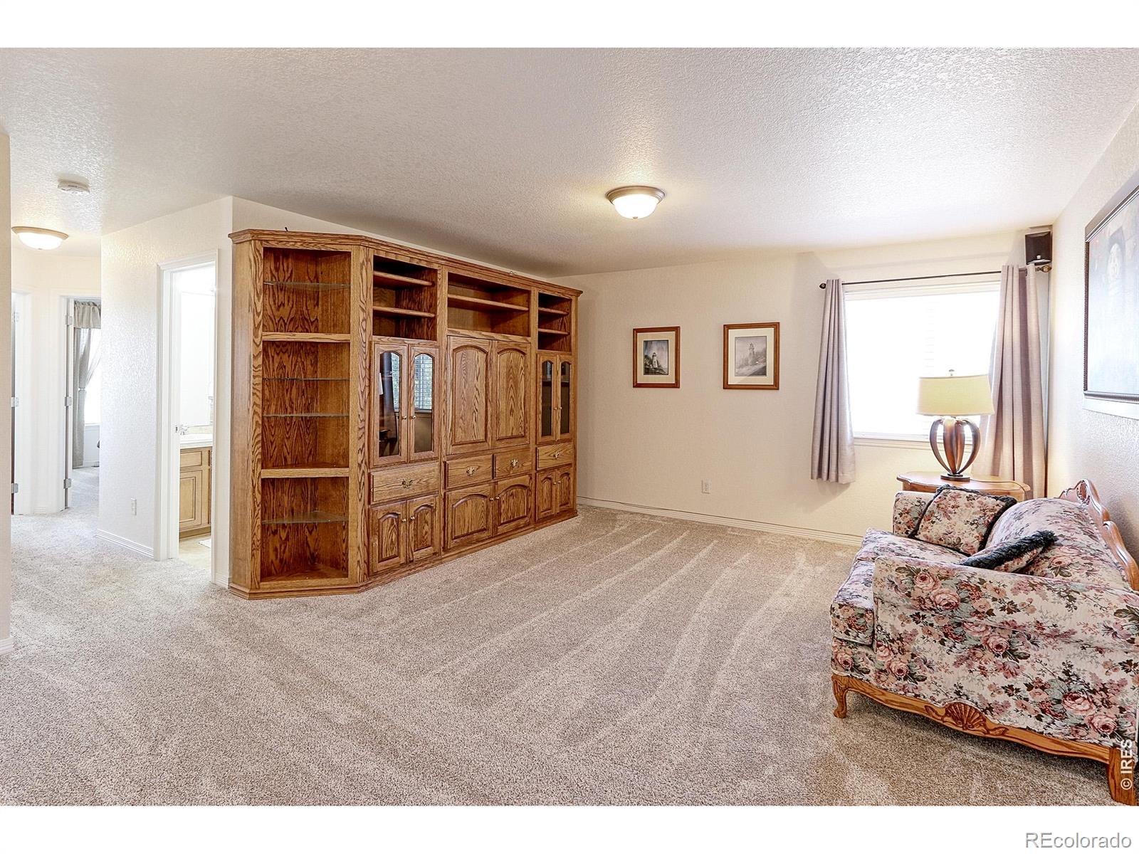 MLS Image #15 for 12543  locust way,thornton, Colorado