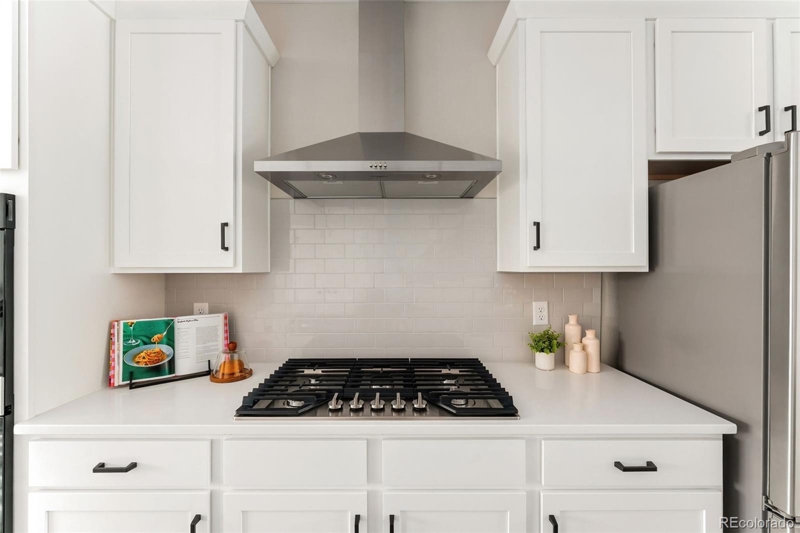 MLS Image #17 for 9696  browns peak circle ,littleton, Colorado
