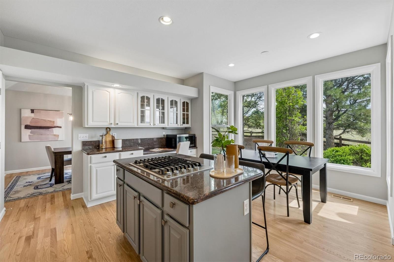 MLS Image #10 for 10086  stratford place,highlands ranch, Colorado
