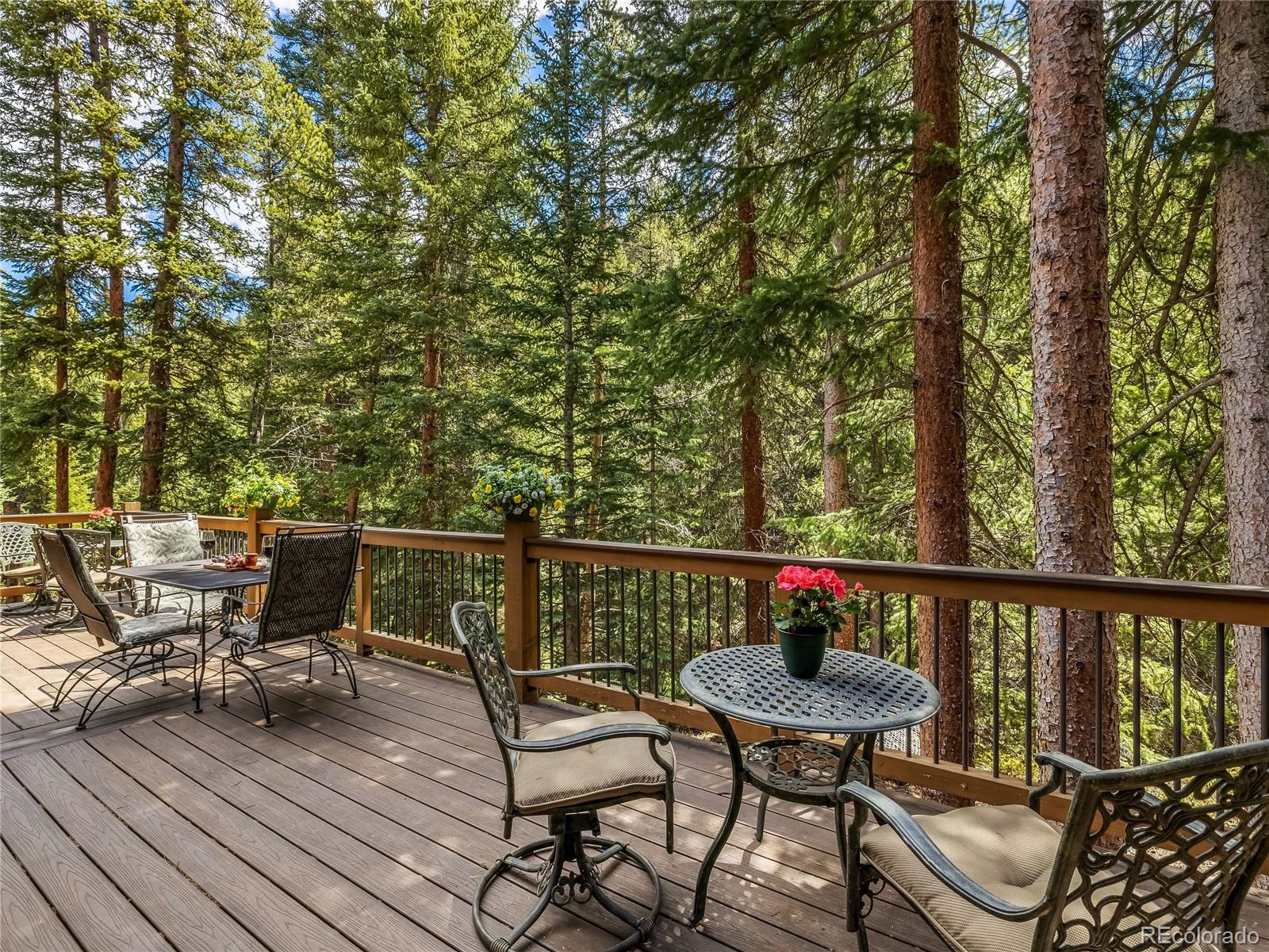 MLS Image #29 for 68  sherwood lane,blue river, Colorado