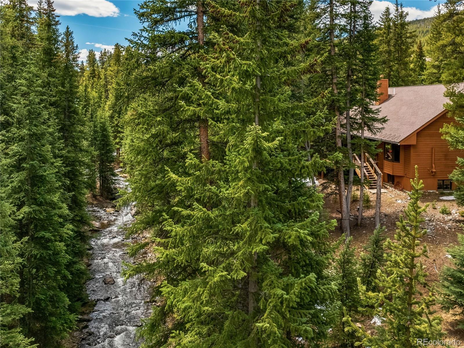 MLS Image #3 for 68  sherwood lane,blue river, Colorado
