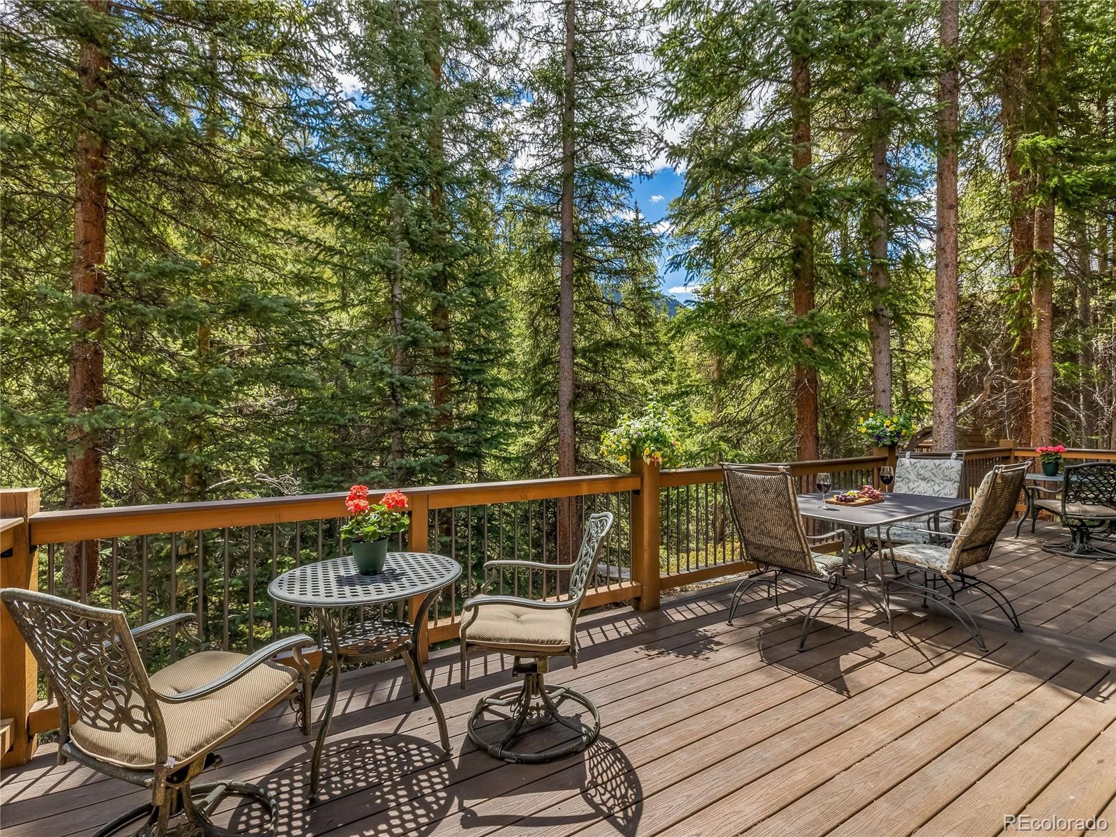 MLS Image #4 for 68  sherwood lane,blue river, Colorado