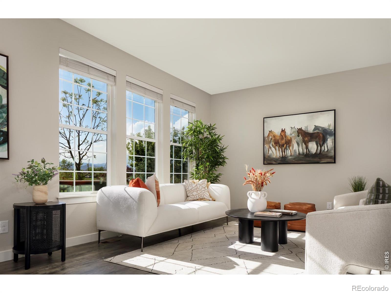 MLS Image #11 for 2113  sicily circle,longmont, Colorado