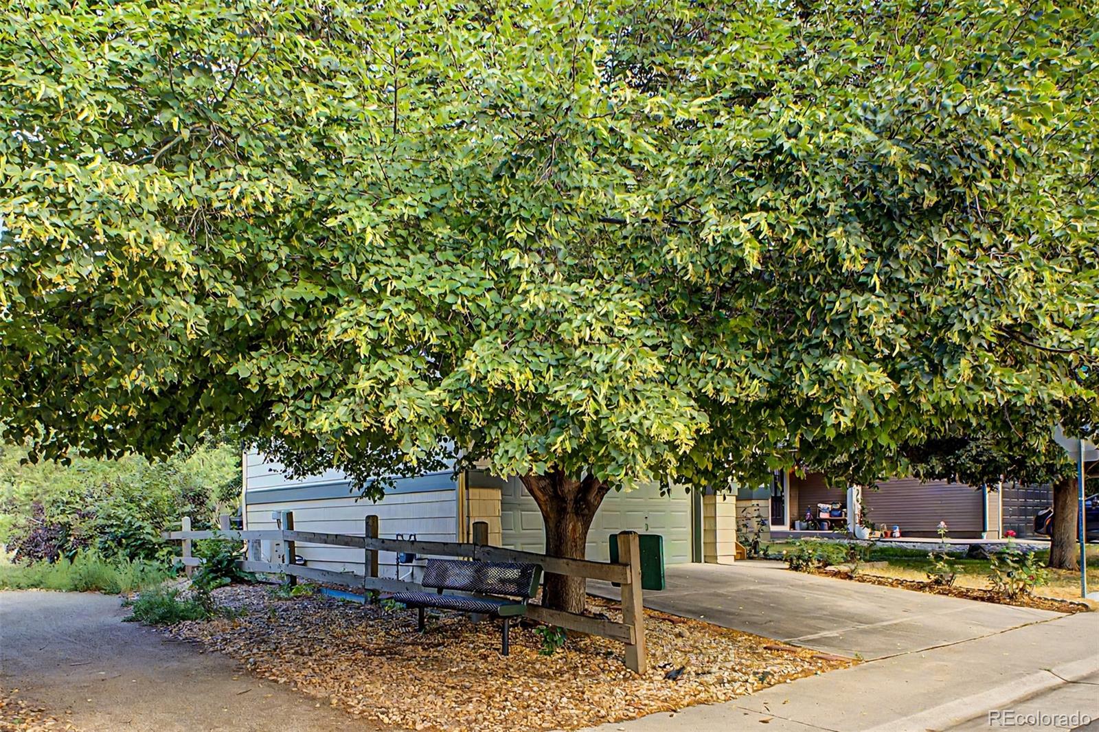 MLS Image #22 for 151  salina street,lafayette, Colorado