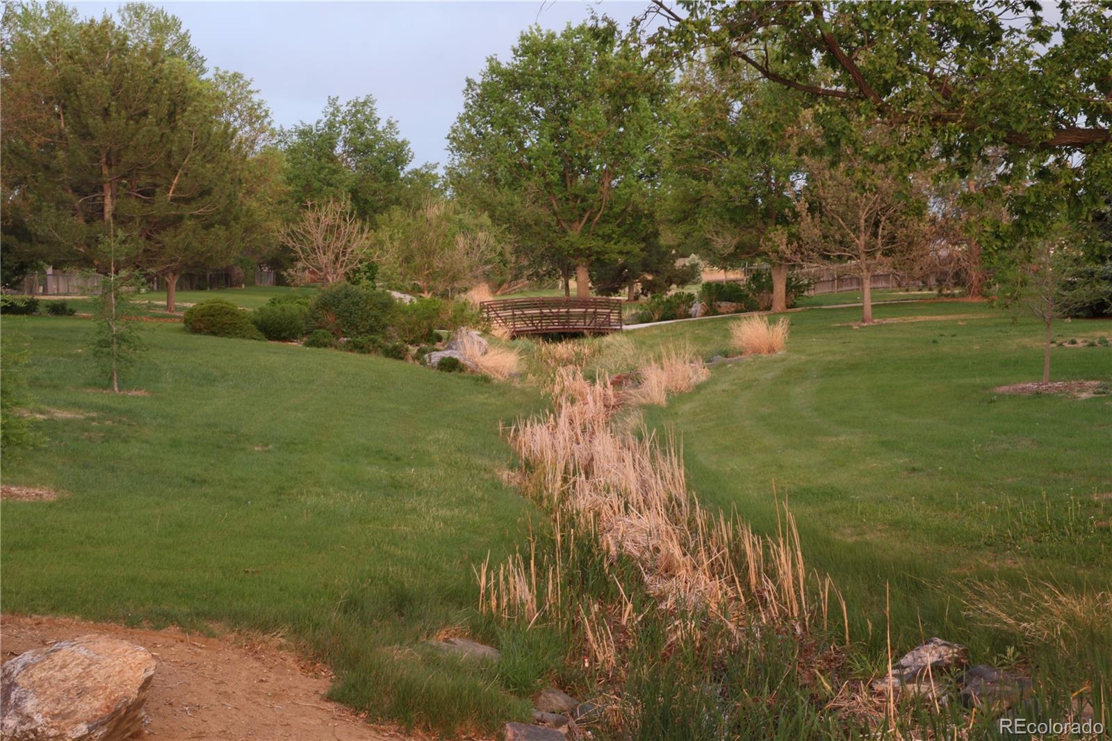 MLS Image #5 for 1508  daphne street,broomfield, Colorado