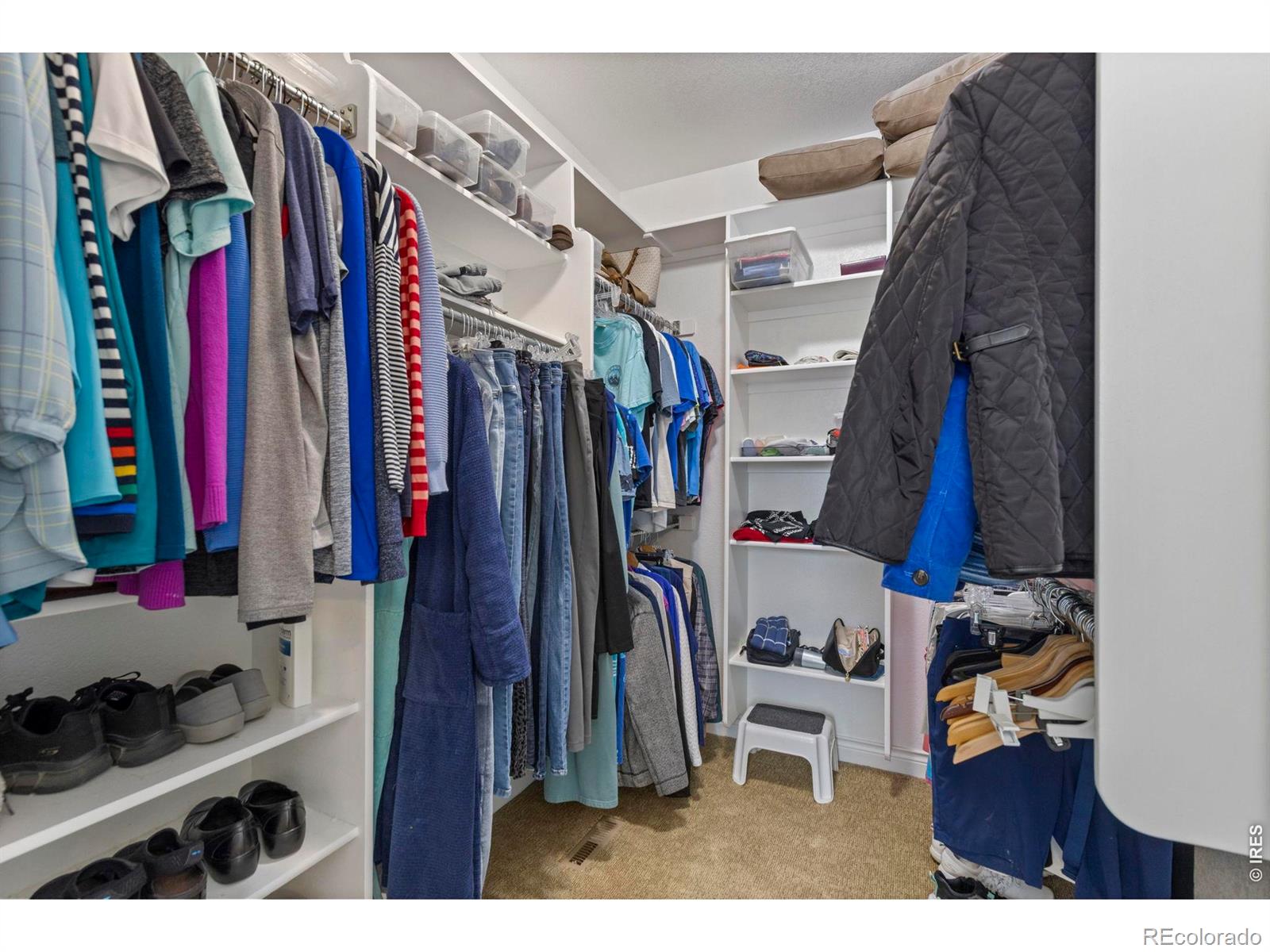 MLS Image #14 for 7023  aladar drive,windsor, Colorado