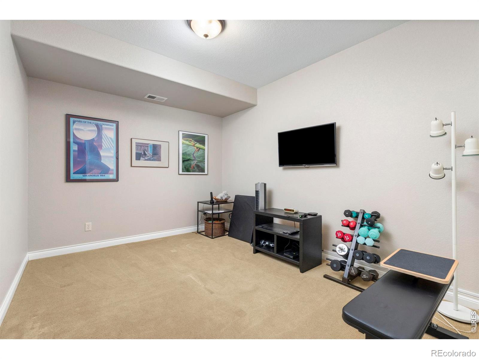 MLS Image #25 for 7023  aladar drive,windsor, Colorado