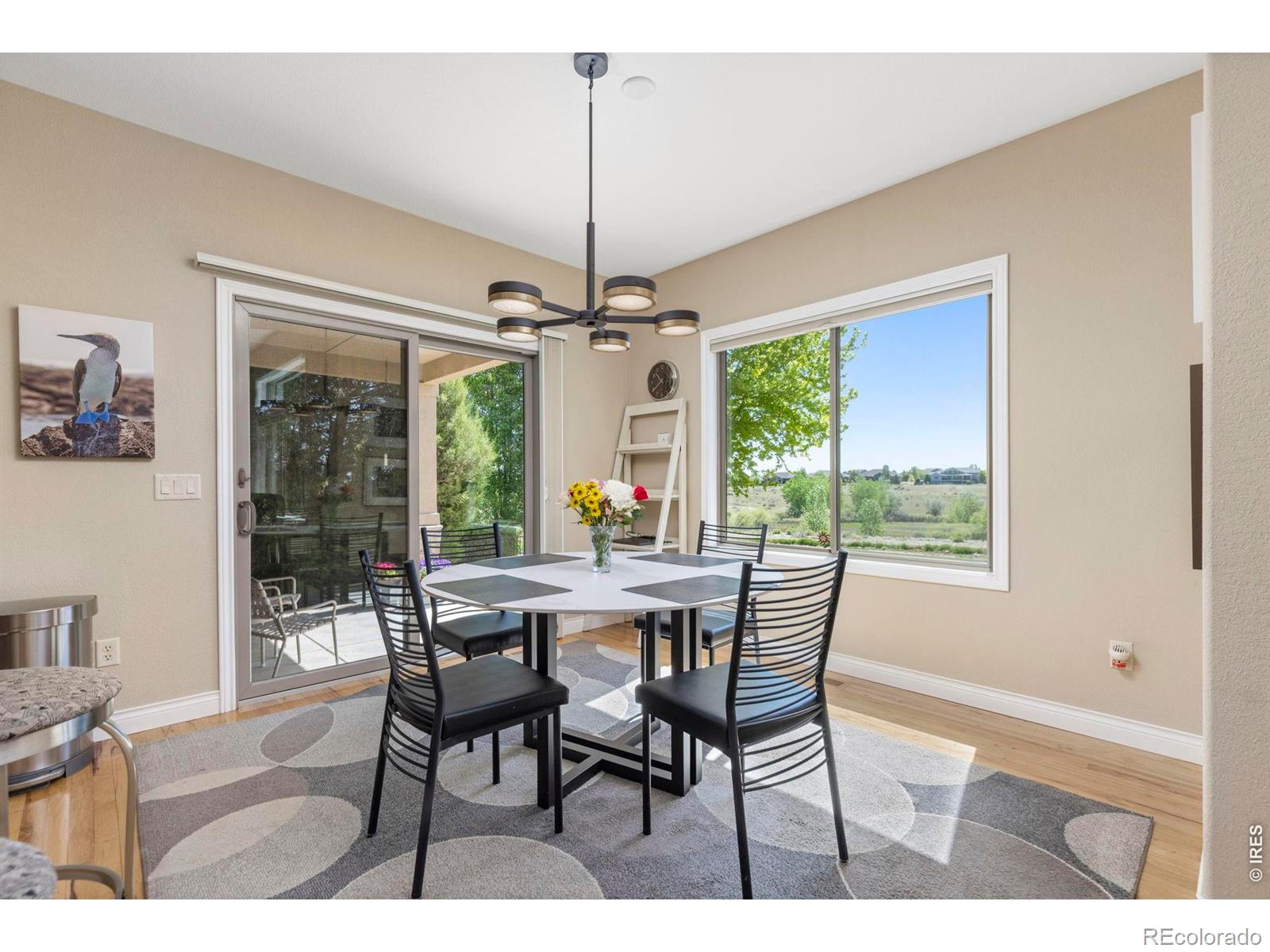 MLS Image #8 for 7023  aladar drive,windsor, Colorado