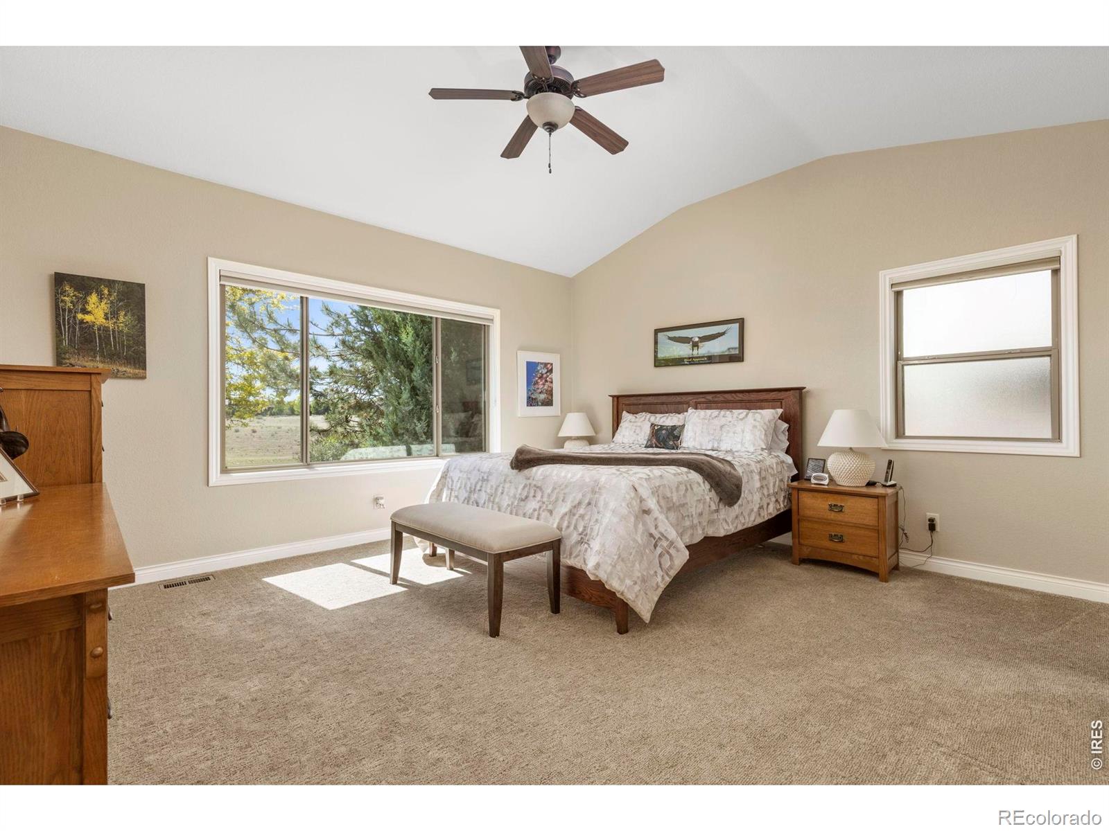 MLS Image #9 for 7023  aladar drive,windsor, Colorado
