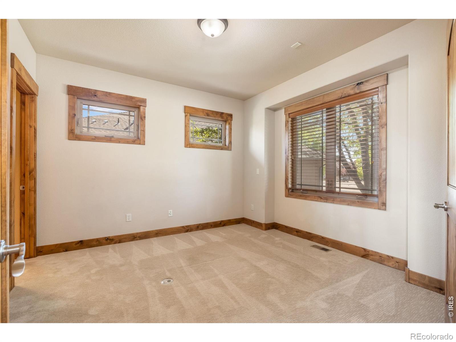 MLS Image #6 for 7042  ruidoso drive,windsor, Colorado