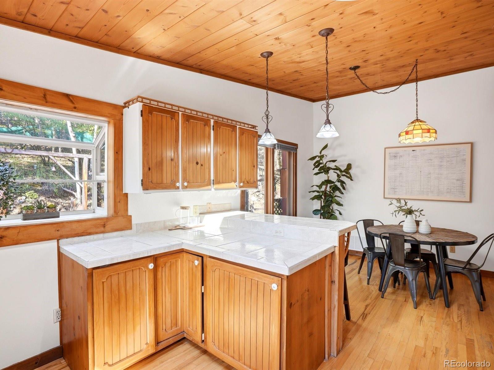 MLS Image #12 for 29  blue spruce drive,evergreen, Colorado
