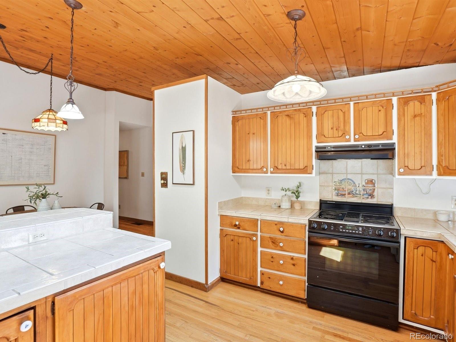 MLS Image #13 for 29  blue spruce drive,evergreen, Colorado