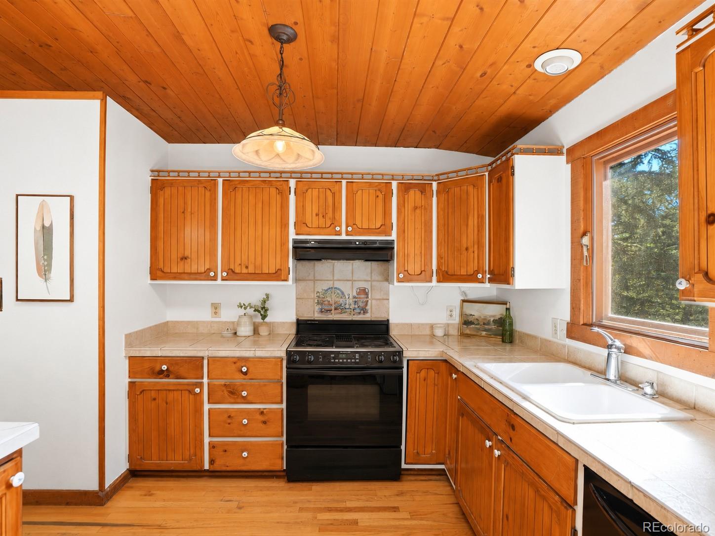 MLS Image #14 for 29  blue spruce drive,evergreen, Colorado
