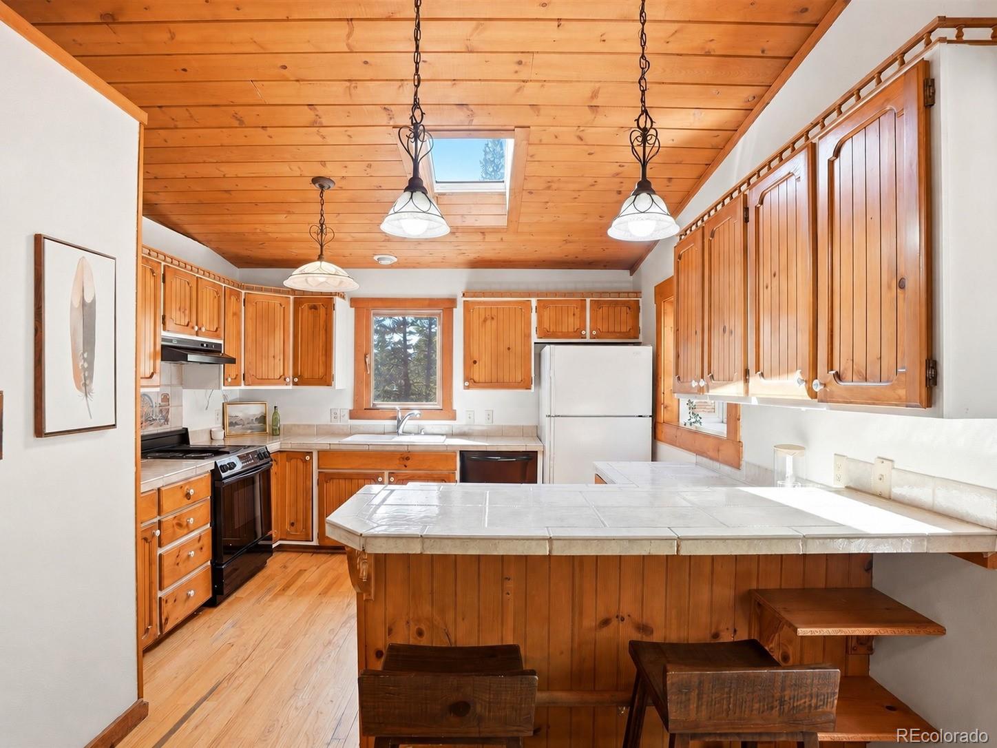 MLS Image #15 for 29  blue spruce drive,evergreen, Colorado