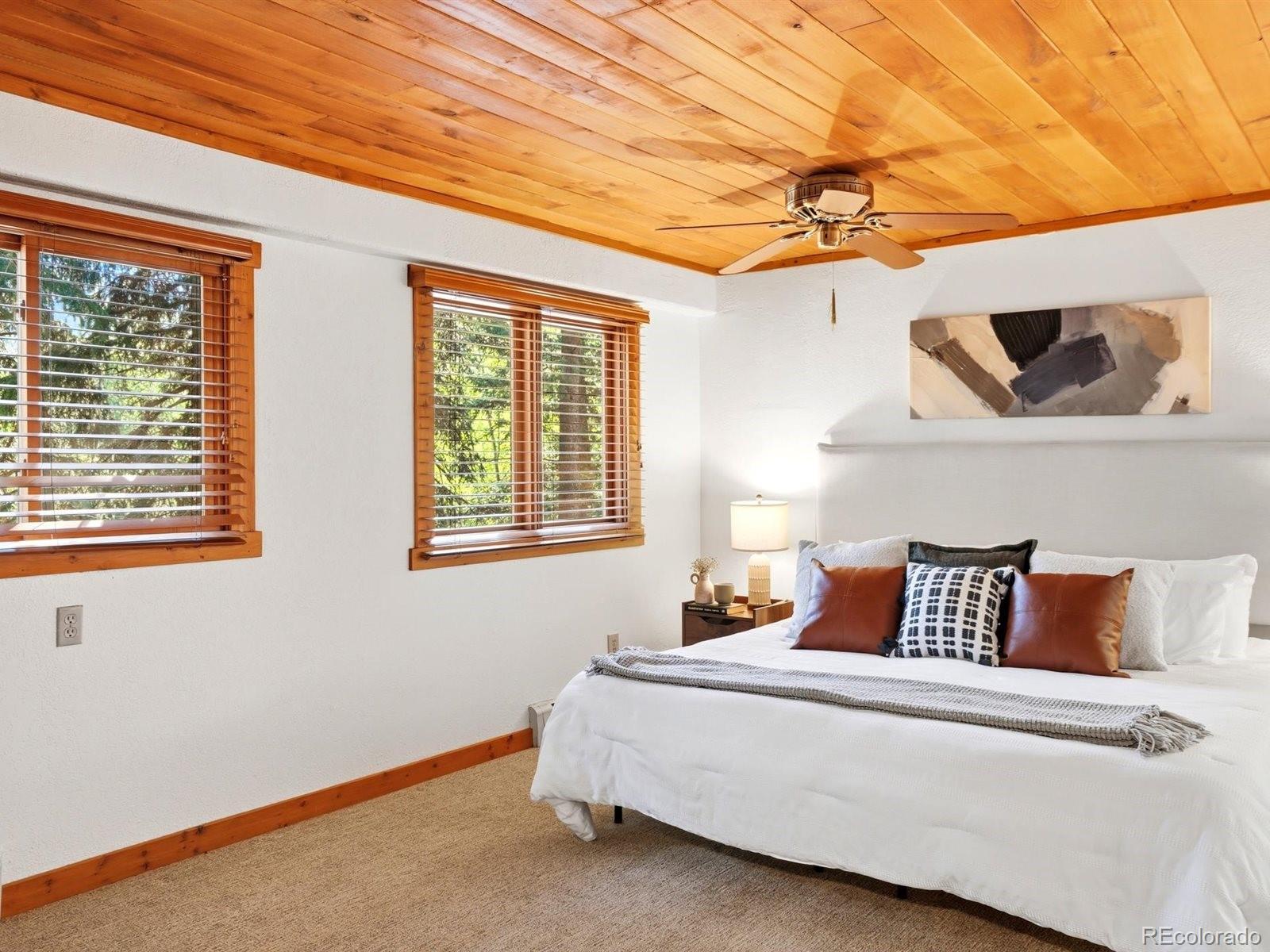 MLS Image #27 for 29  blue spruce drive,evergreen, Colorado