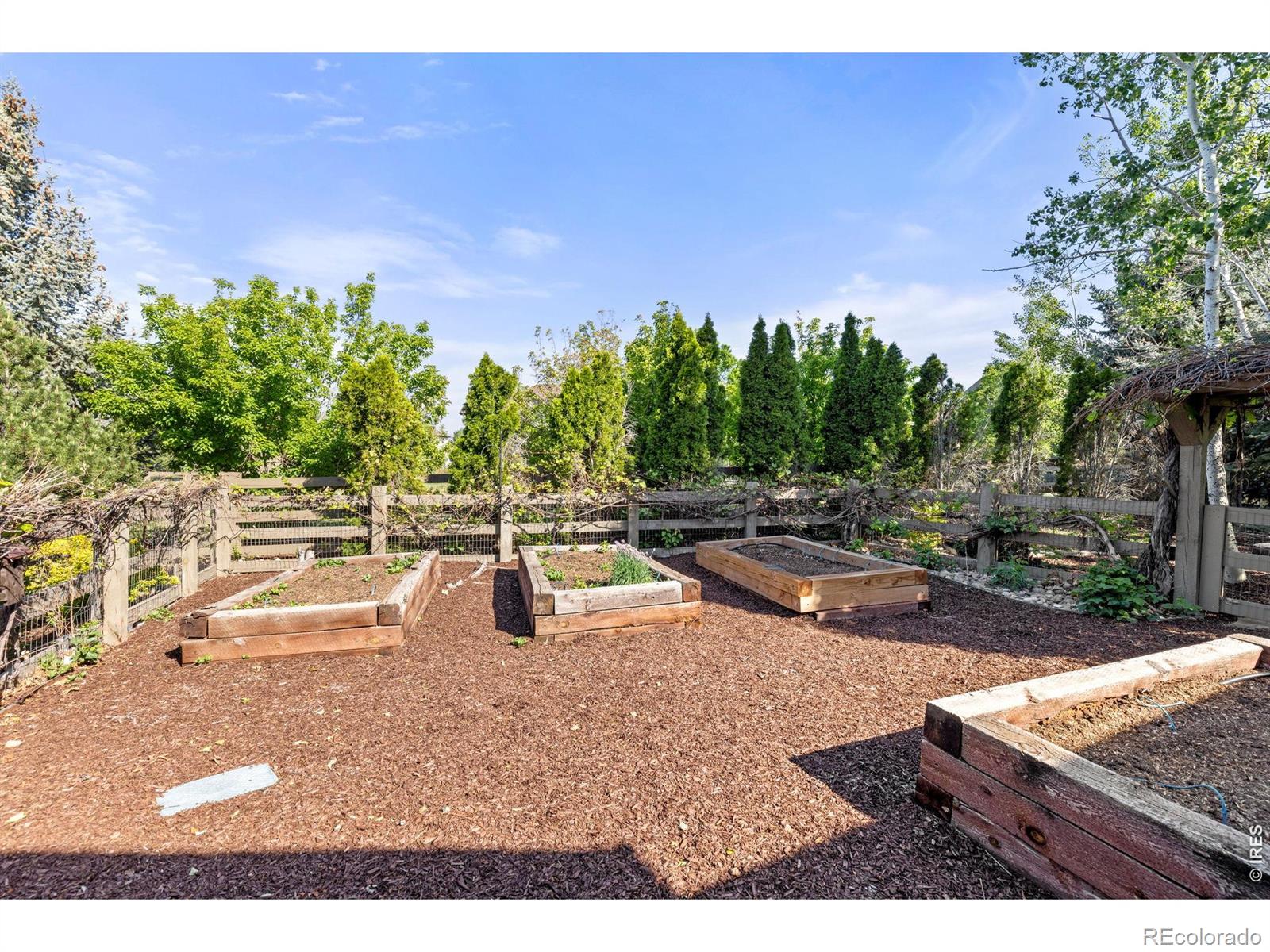 MLS Image #38 for 3615  shallow pond drive,fort collins, Colorado