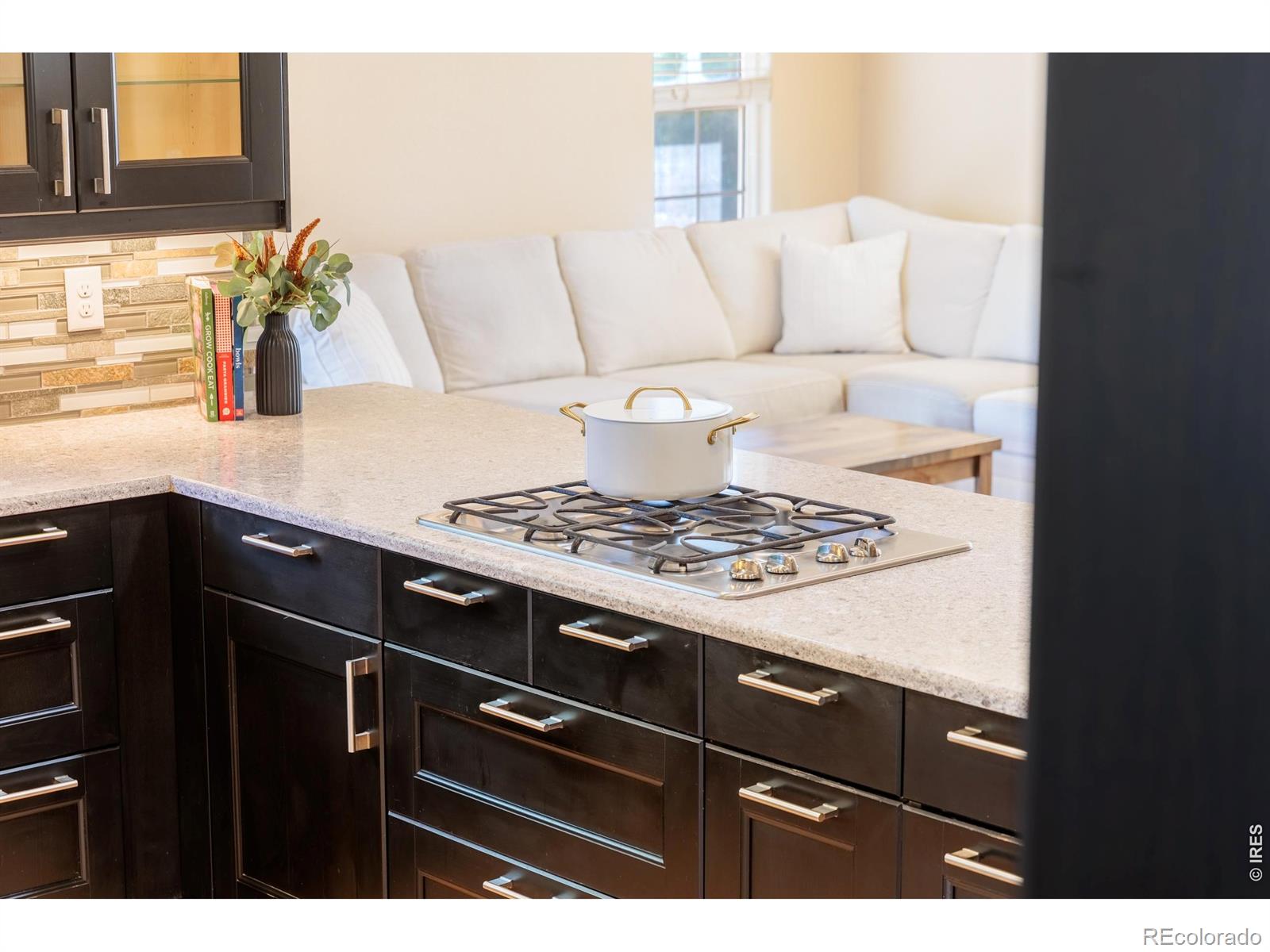 MLS Image #2 for 2513  falcon drive,longmont, Colorado