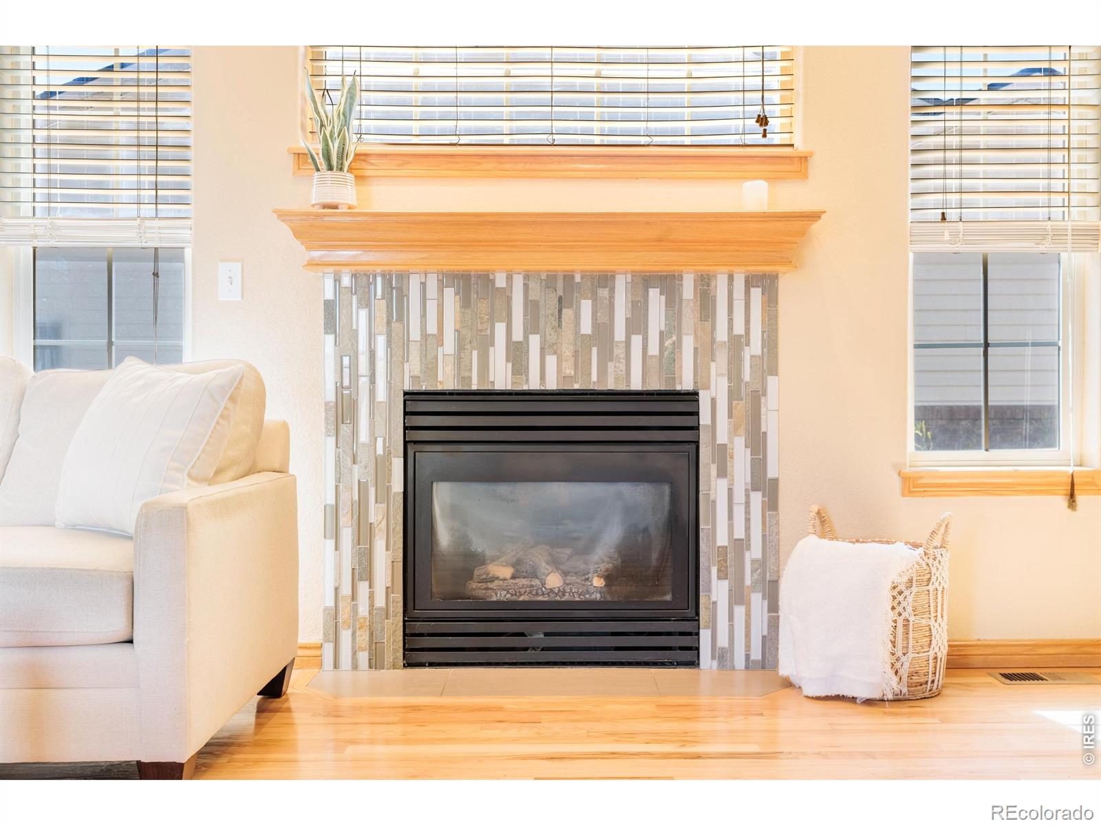 MLS Image #3 for 2513  falcon drive,longmont, Colorado