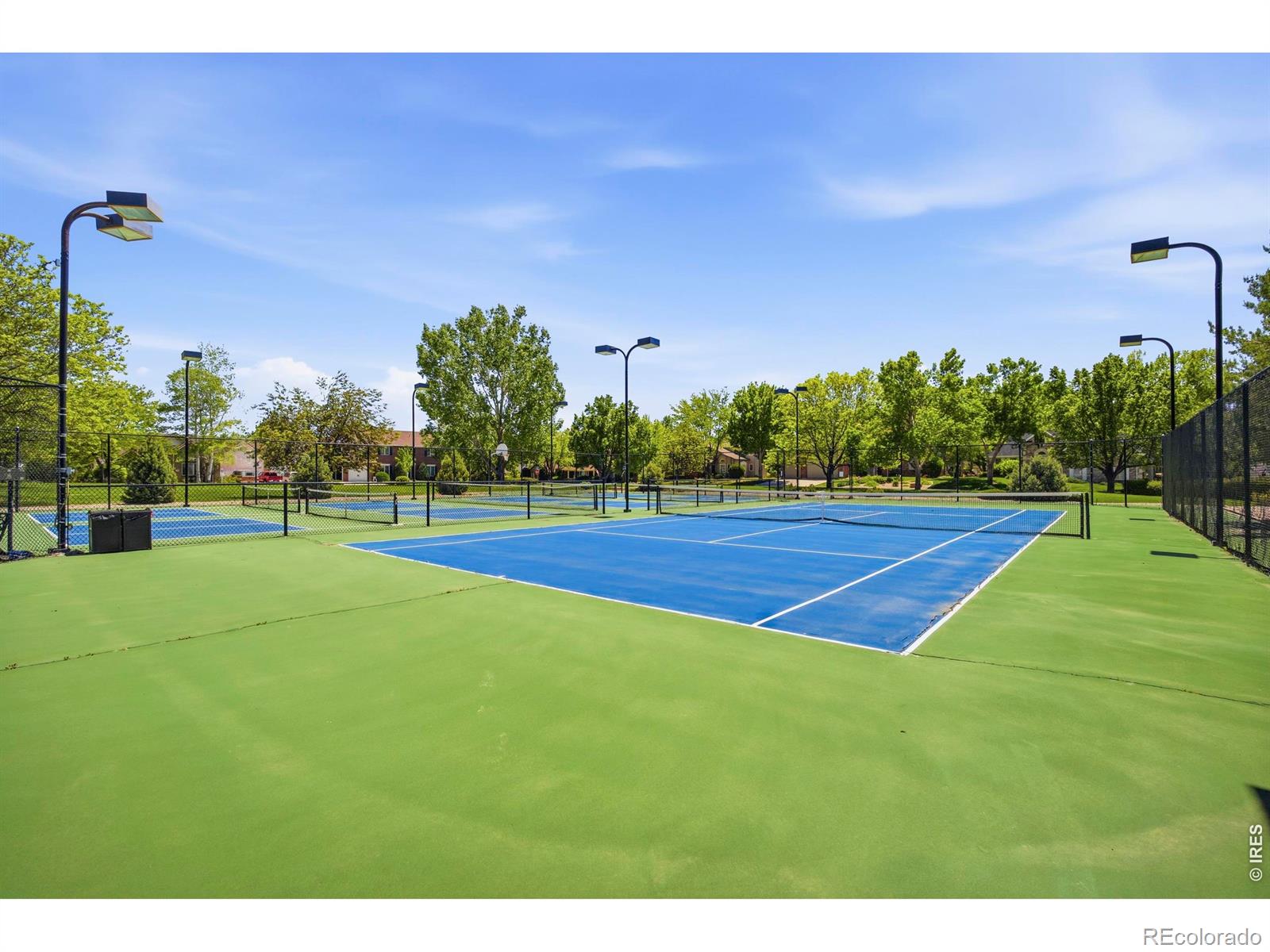 MLS Image #41 for 2591  amber drive,loveland, Colorado