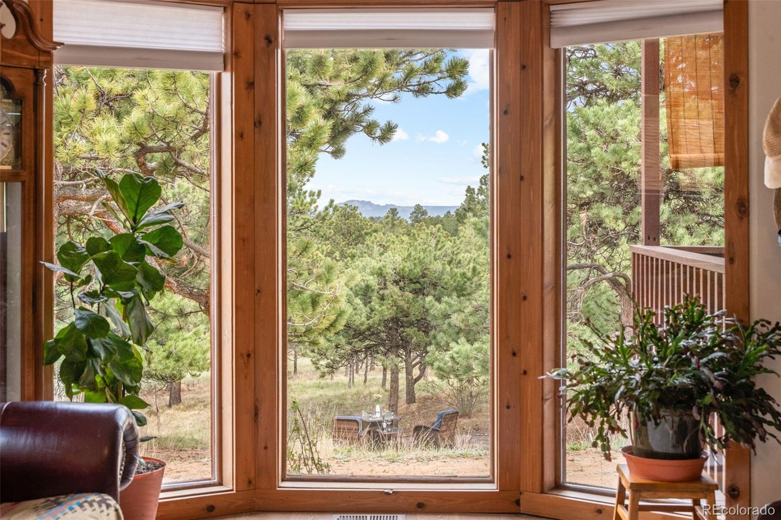 MLS Image #10 for 957  yellow pine drive,bailey, Colorado