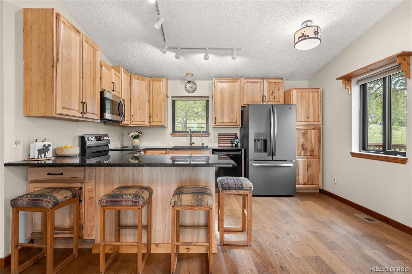 MLS Image #12 for 957  yellow pine drive,bailey, Colorado