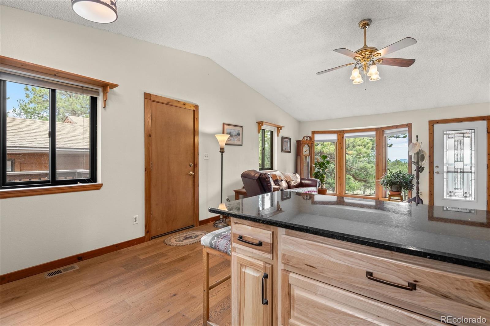 MLS Image #16 for 957  yellow pine drive,bailey, Colorado