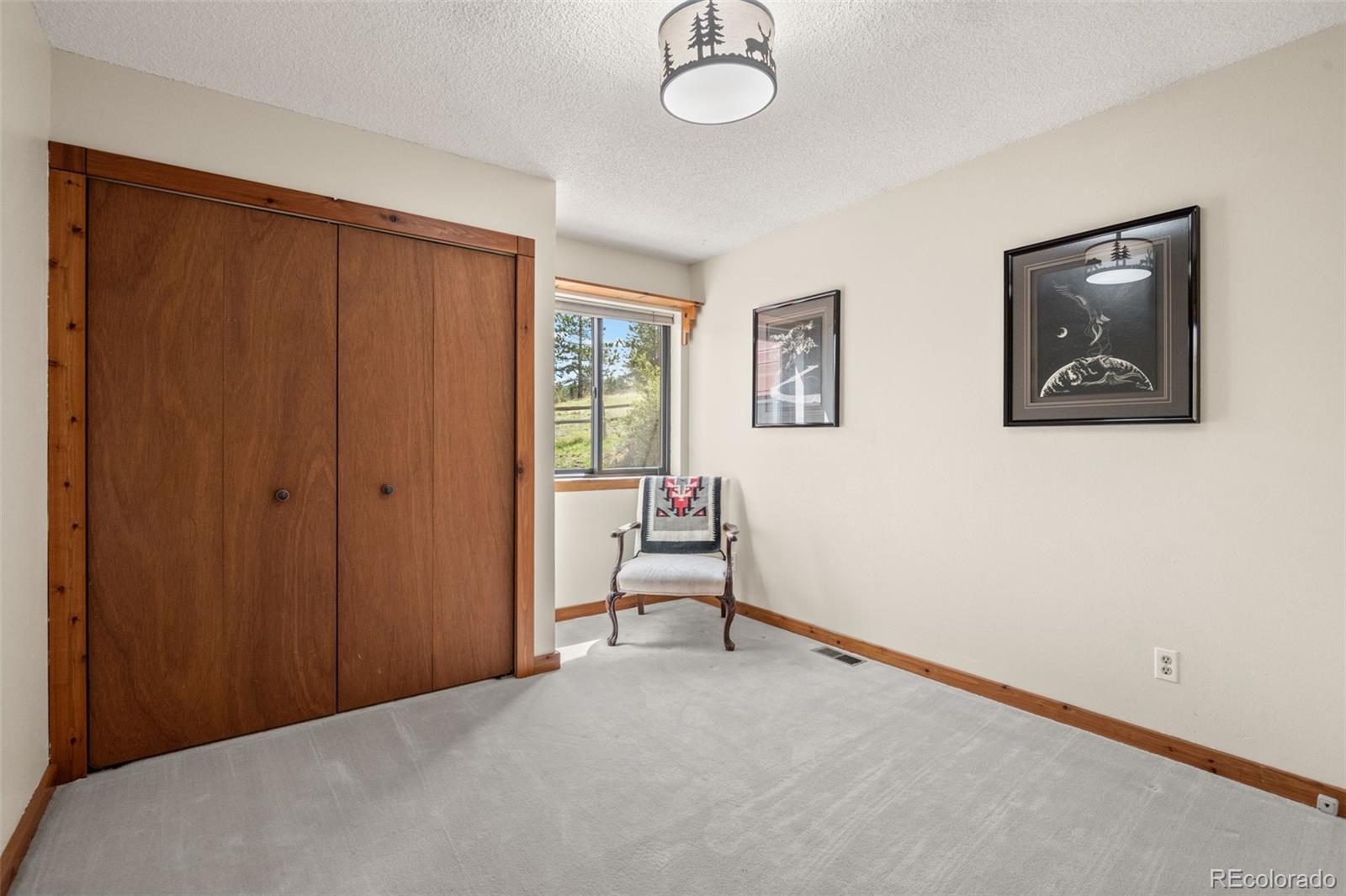 MLS Image #24 for 957  yellow pine drive,bailey, Colorado