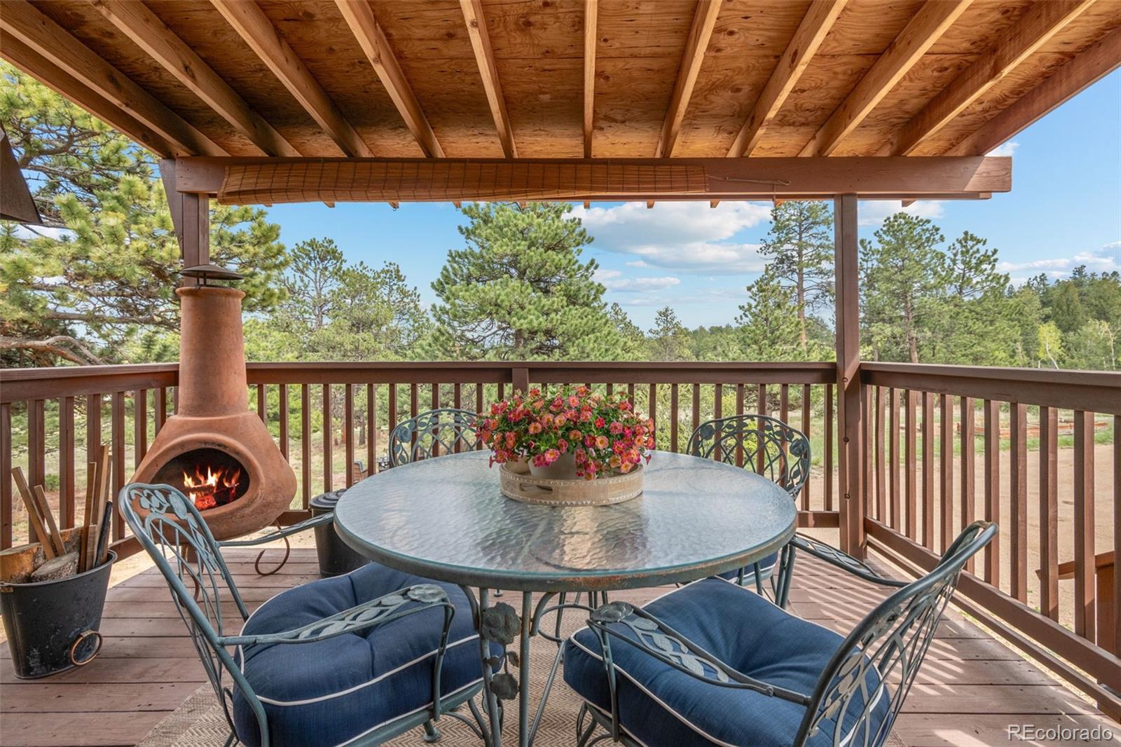 MLS Image #4 for 957  yellow pine drive,bailey, Colorado