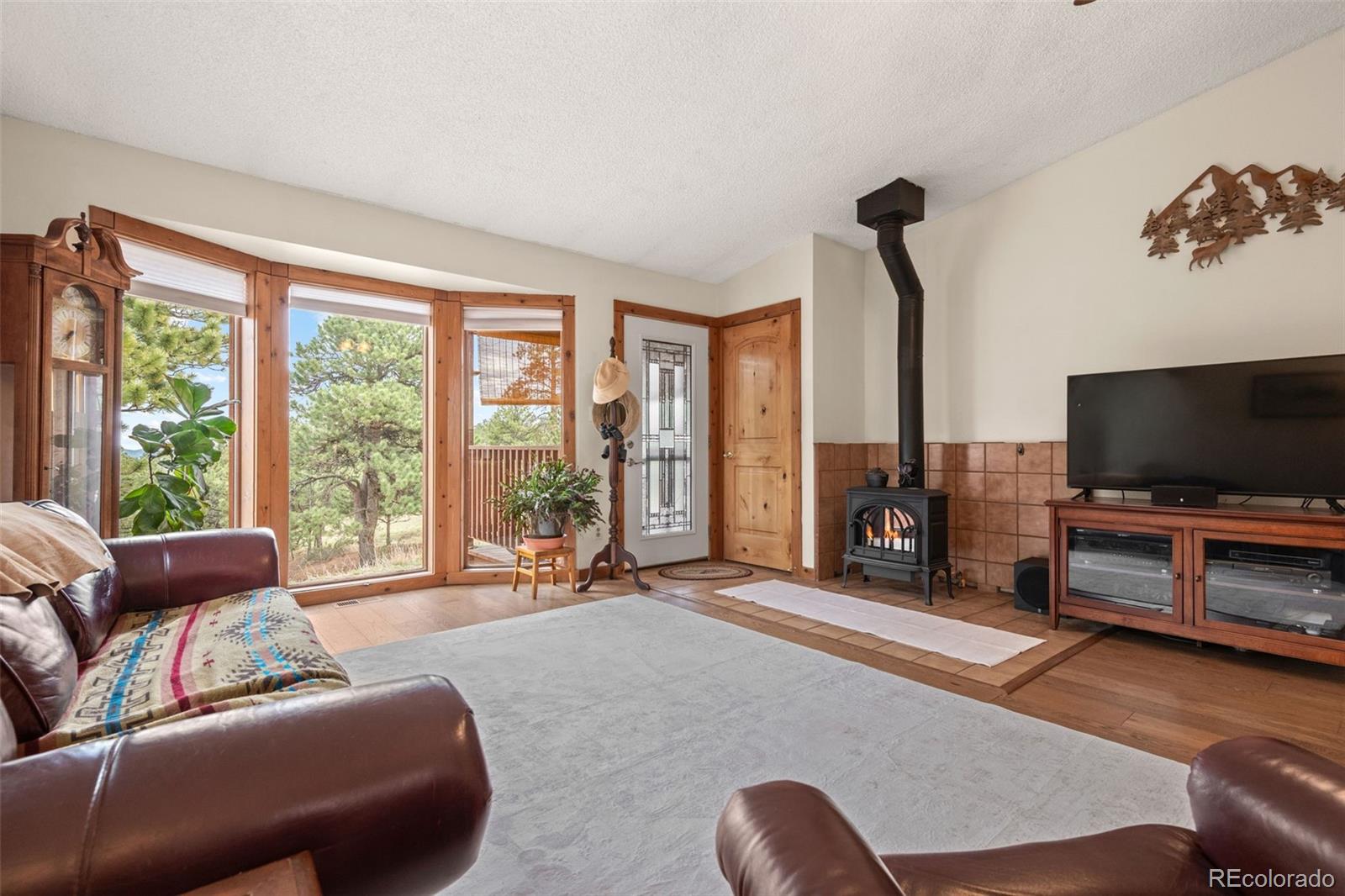 MLS Image #7 for 957  yellow pine drive,bailey, Colorado