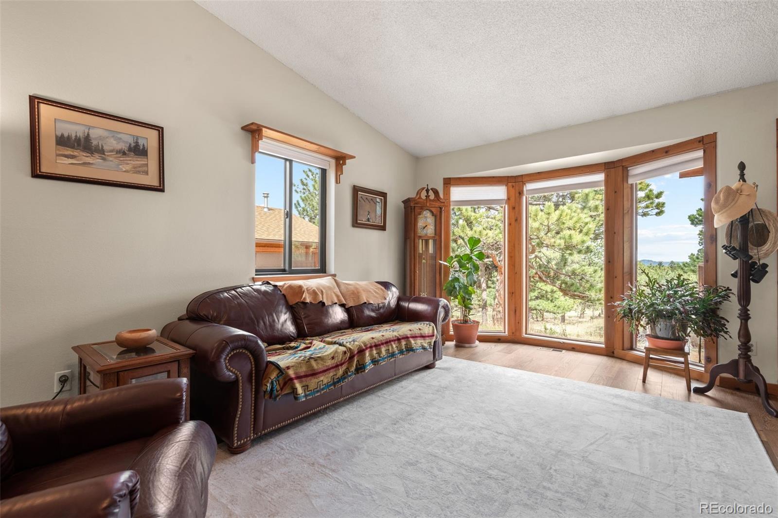 MLS Image #8 for 957  yellow pine drive,bailey, Colorado