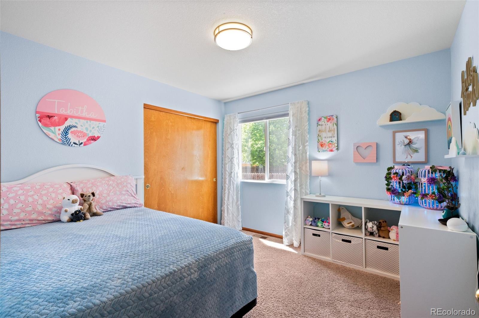 MLS Image #28 for 4888  mt cameron drive,brighton, Colorado