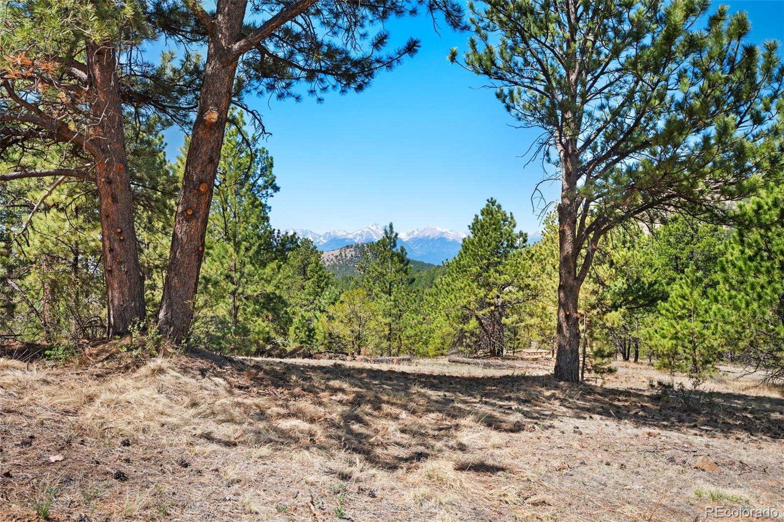 MLS Image #24 for 1341  county rd 327 ,westcliffe, Colorado