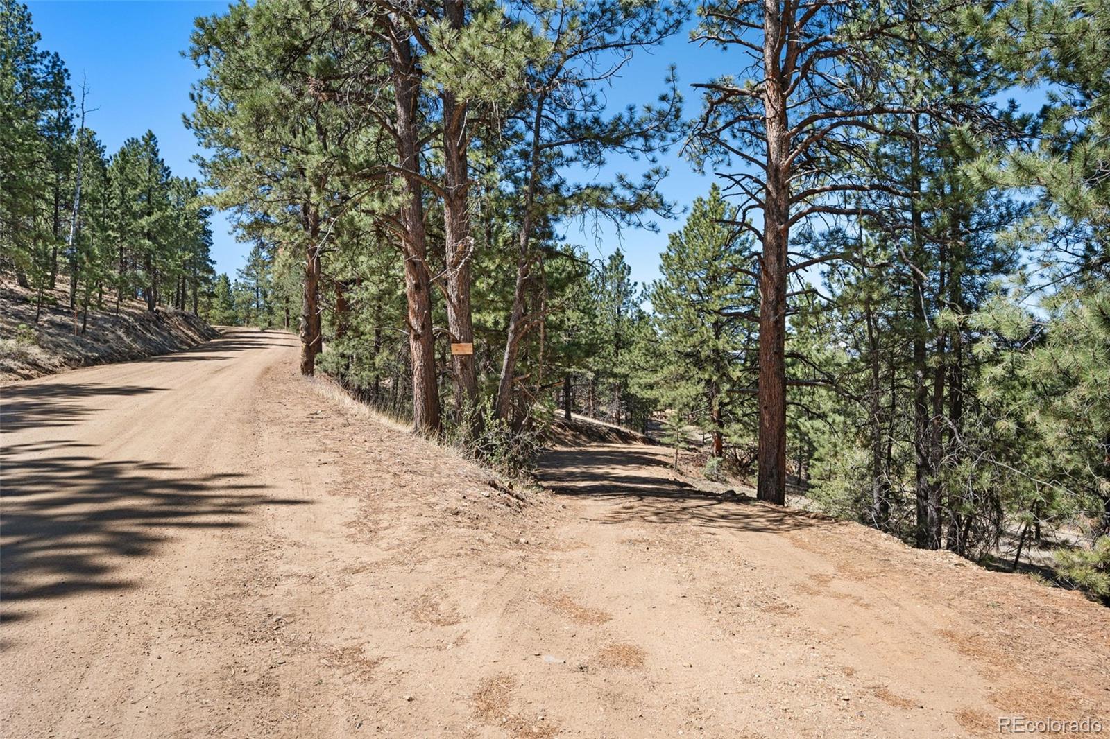 MLS Image #30 for 1341  county rd 327 ,westcliffe, Colorado