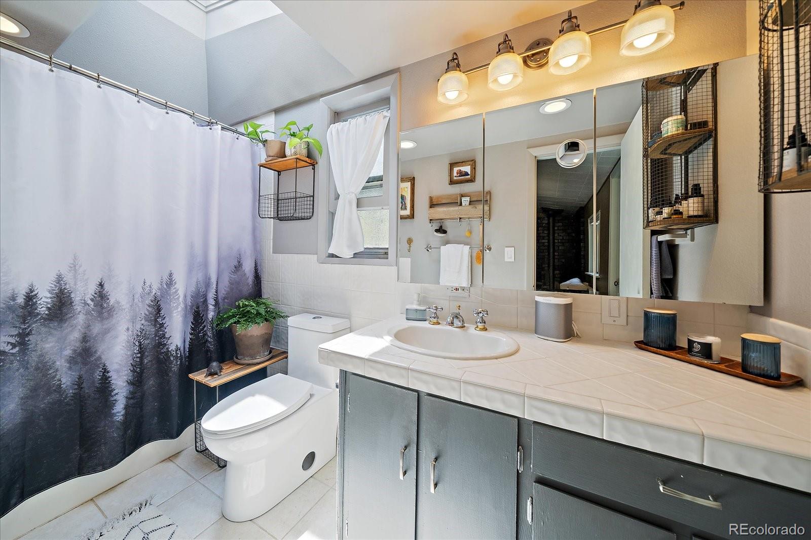 MLS Image #14 for 99  mill creek road,dumont, Colorado