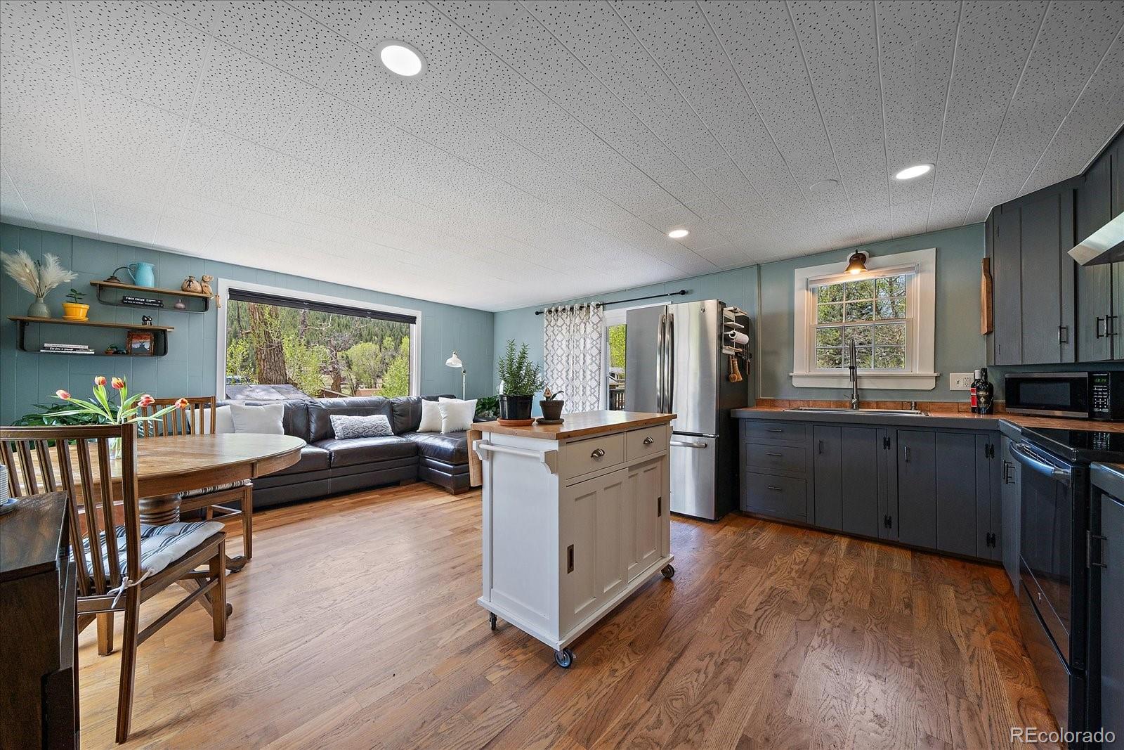 MLS Image #3 for 99  mill creek road,dumont, Colorado