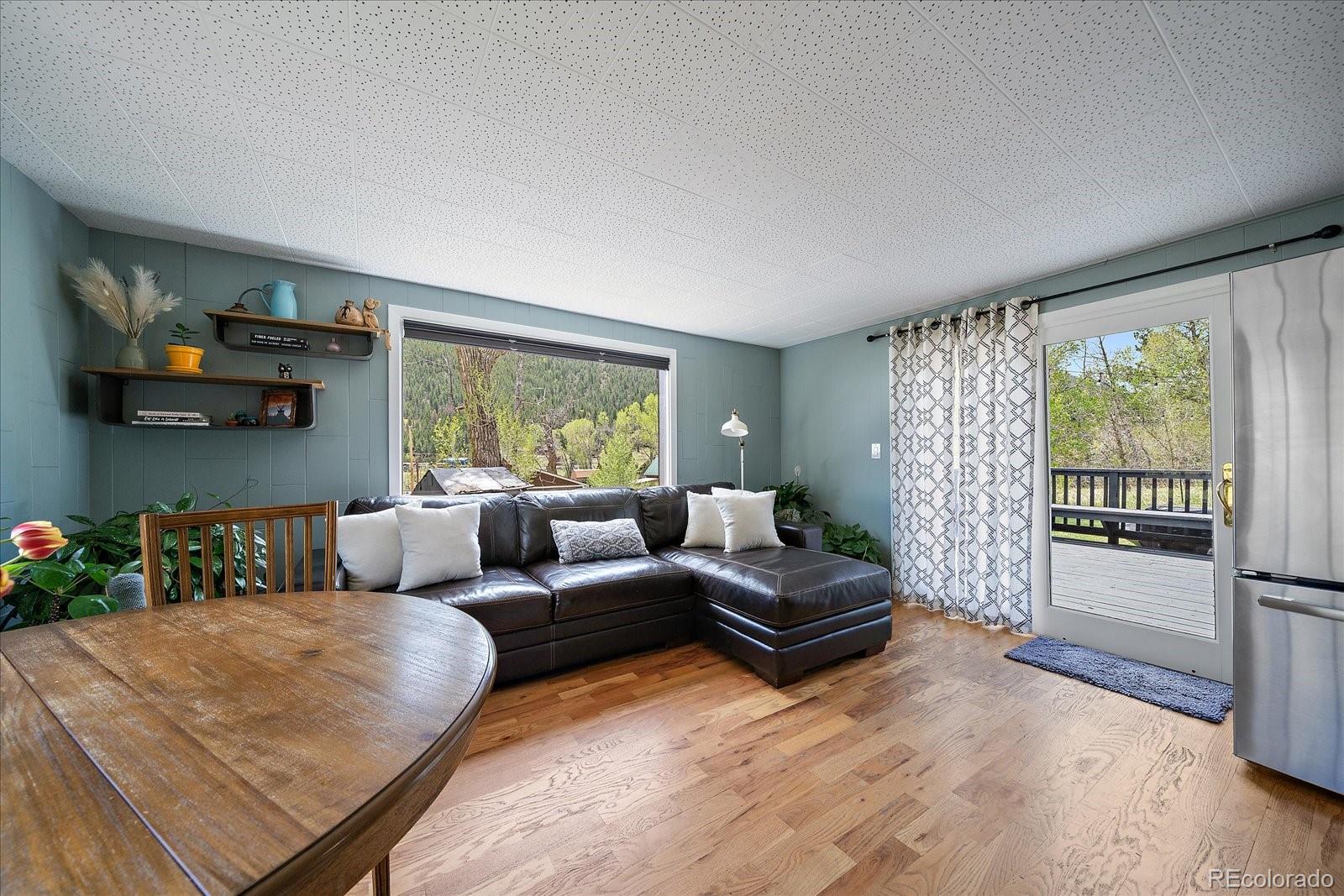 MLS Image #4 for 99  mill creek road,dumont, Colorado