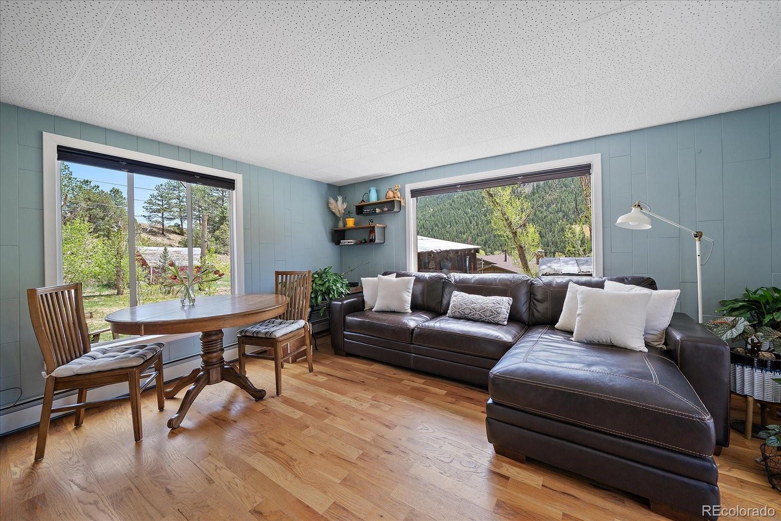MLS Image #5 for 99  mill creek road,dumont, Colorado