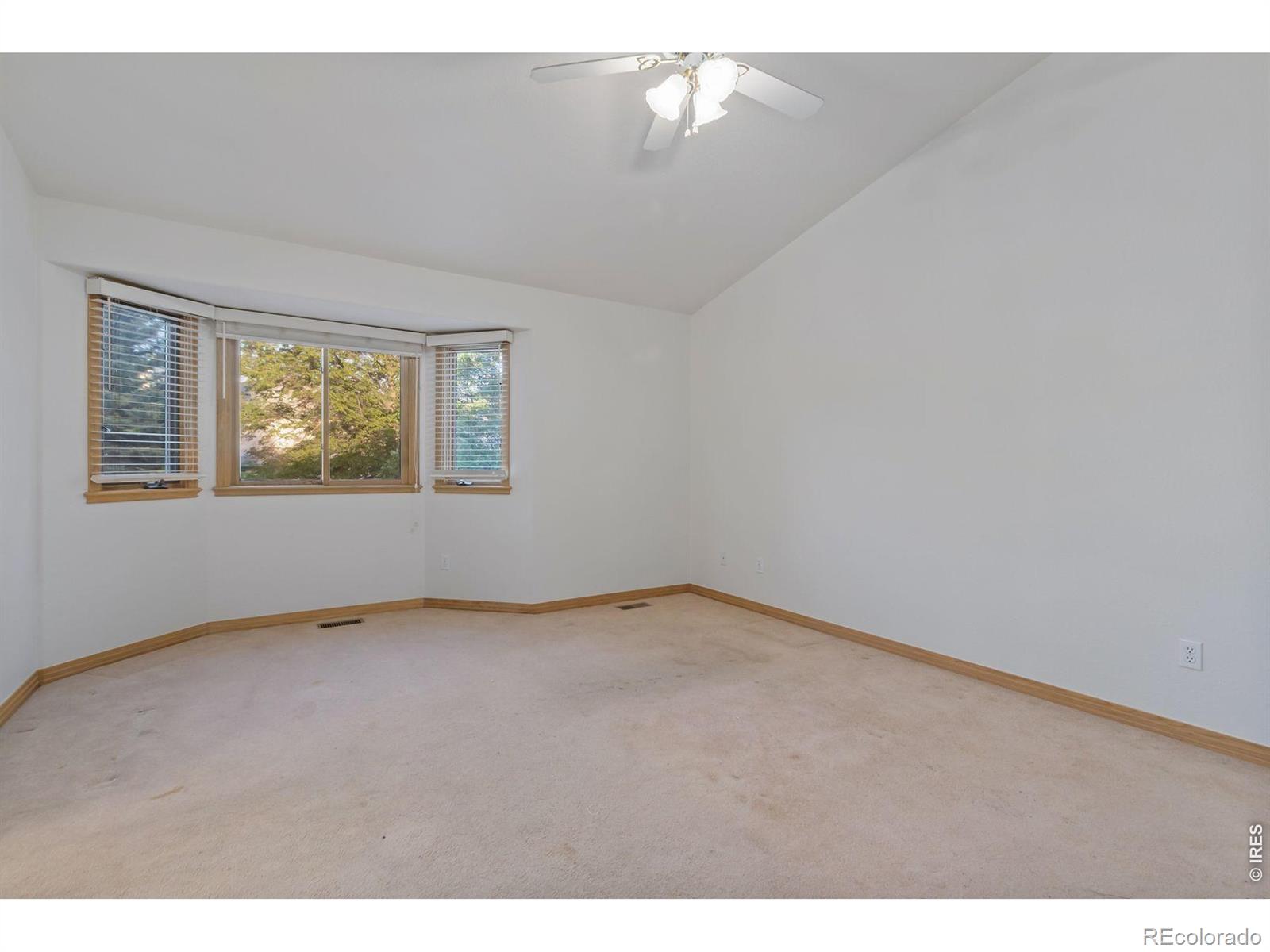 MLS Image #16 for 3812  platte court,fort collins, Colorado