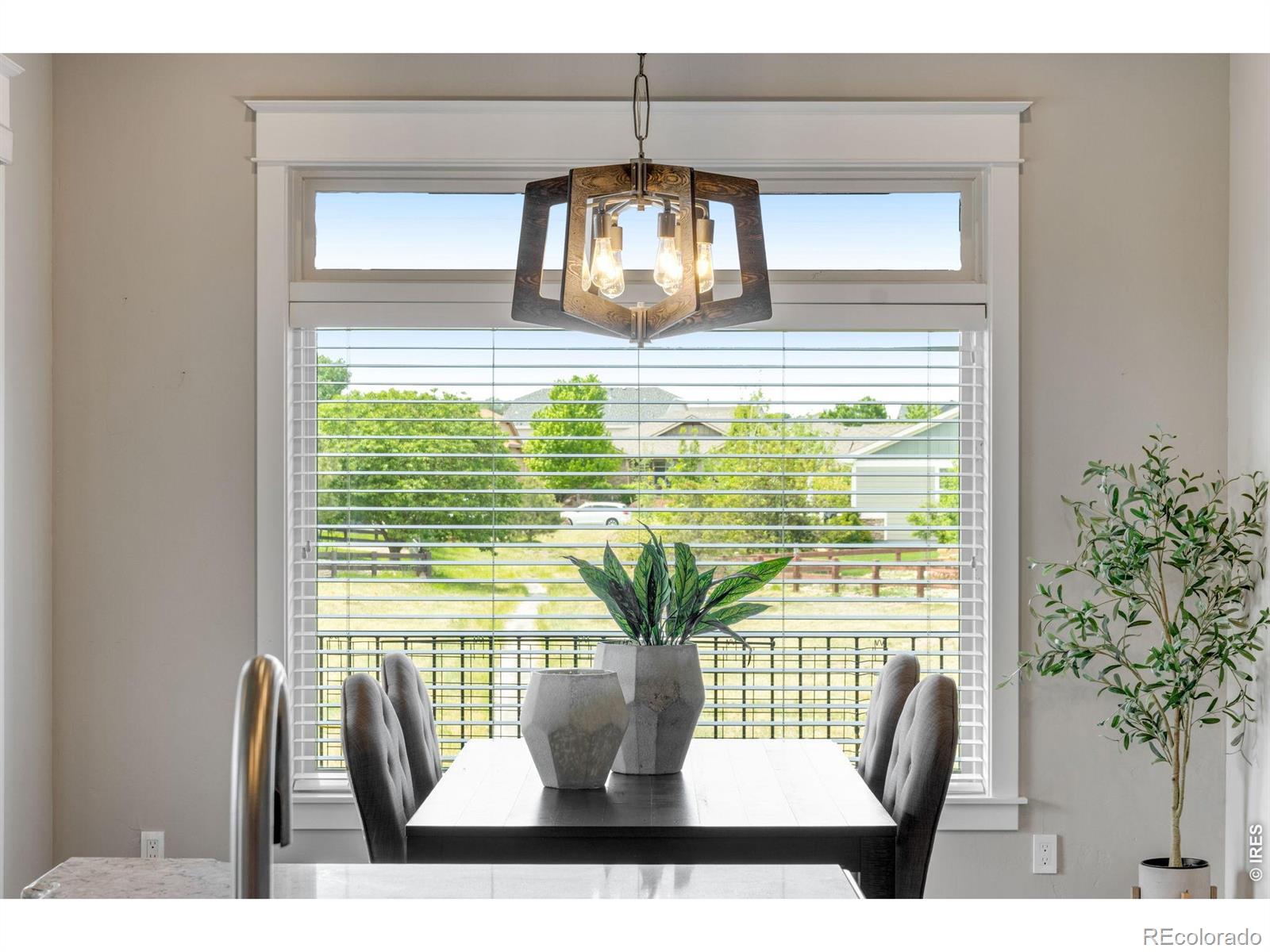 MLS Image #19 for 2006  vineyard drive,windsor, Colorado