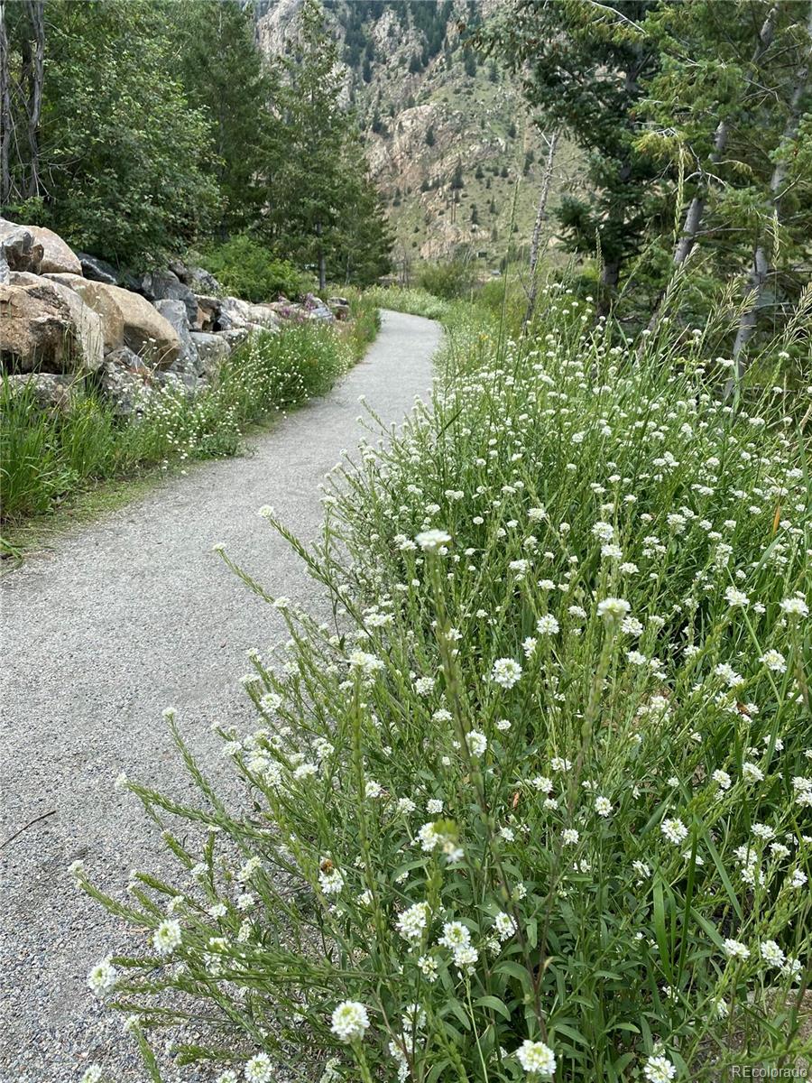 MLS Image #30 for 1901  clear creek drive,georgetown, Colorado