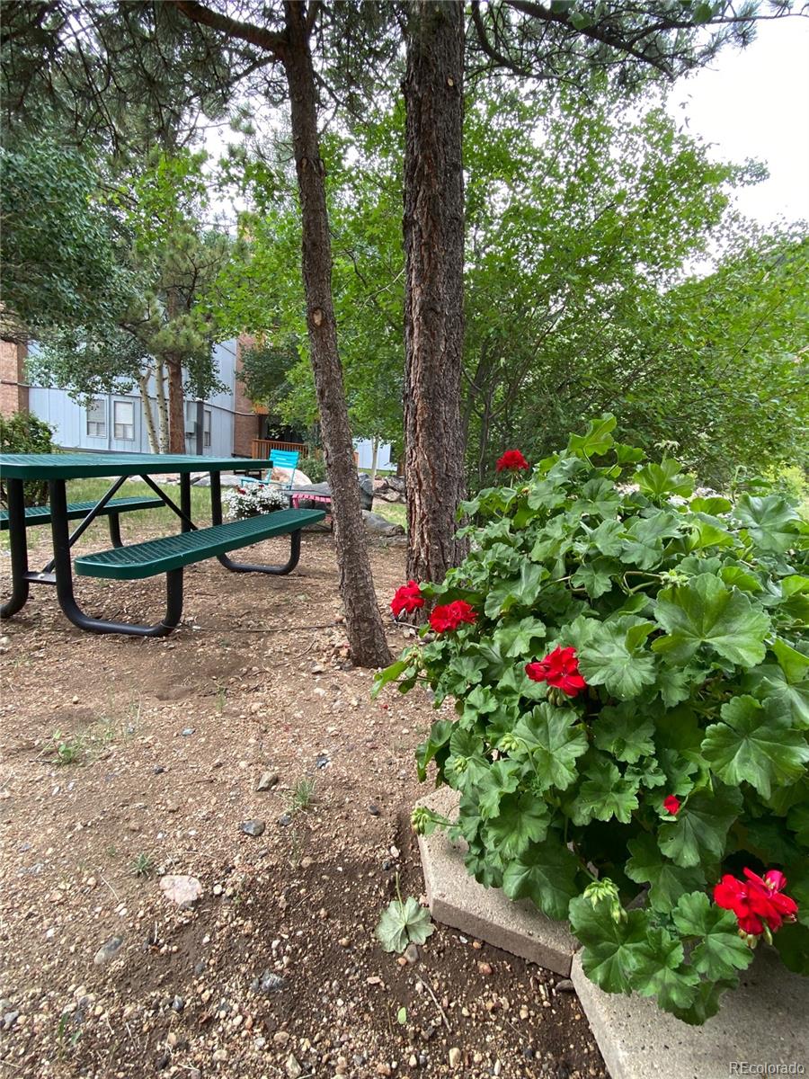 MLS Image #34 for 1901  clear creek drive,georgetown, Colorado